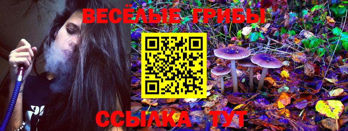 Чебоксары  Галлюциногенные грибы прущие грибы  Вход с VPN 
