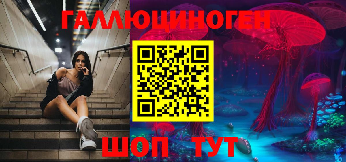 Псилоцибиновые грибы Psilocybe Чебоксары