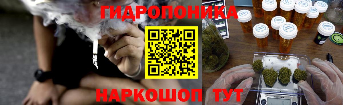 Чебоксары  Бошки марихуана гибрид  Марихуана OG Kush  Вход с VPN  Канабис Amnesia  Каннабис Amnesia 